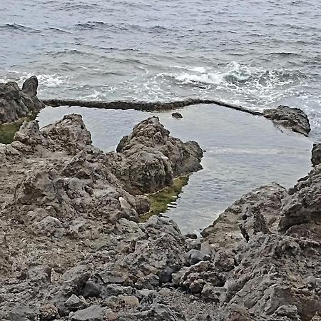 El Escobonal Oasis En Tenerife 3 מראה חיצוני תמונה